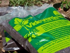 Vide Verde