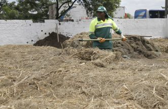 Pátio de Compostagem