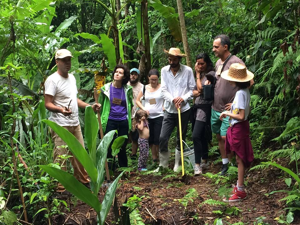 rede ecológica